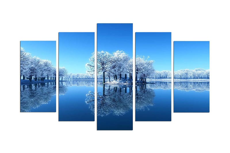 Dekorativ MDF-målning 5-Delar 20x60 cm, Flerfärgad