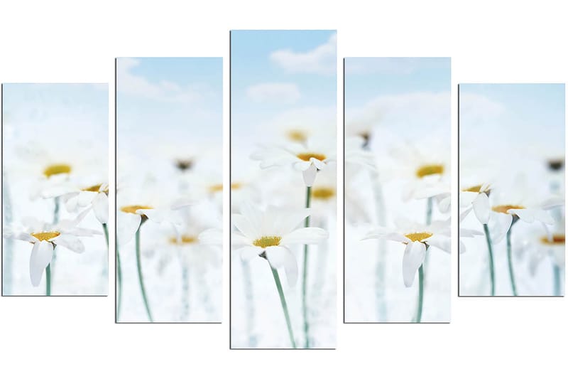 Dekorativ MDF-målning 5-Delar 20x60 cm - Flerfärgad - Inredning - Tavlor & konst - Canvastavlor