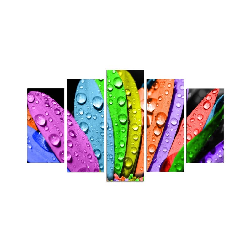 Dekorativ MDF-målning 5-Delar 20x60 cm, Flerfärgad