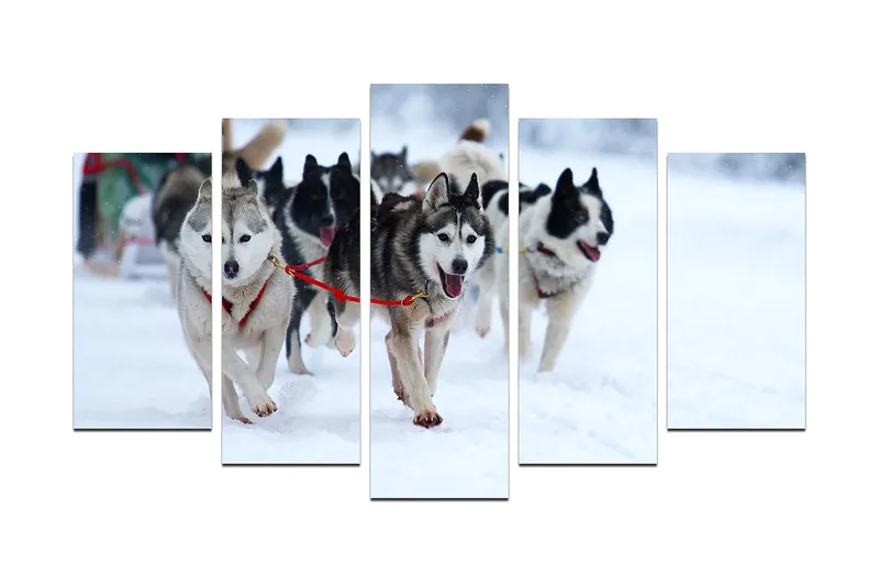 Dekorativ MDF-målning 5-Delar 20x60 cm, Flerfärgad