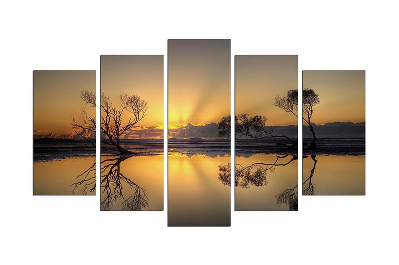 Dekorativ MDF-målning 5 Delar, Flerfärgad