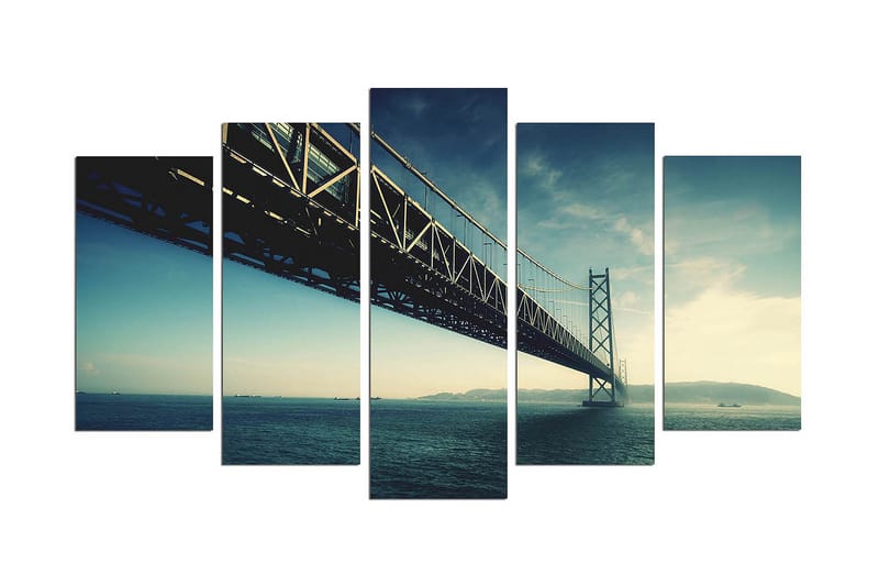 Dekorativ MDF-målning 5 Delar, Flerfärgad