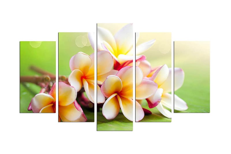 Dekorativ MDF-målning 5 Delar, Flerfärgad