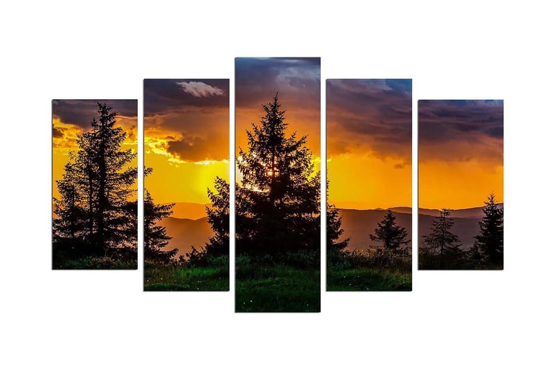 Dekorativ MDF-målning 5 Delar, Flerfärgad