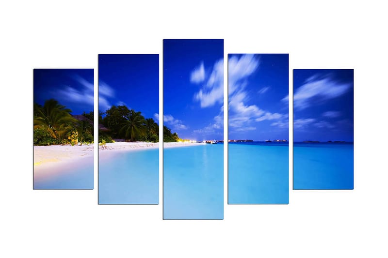 Dekorativ MDF-målning 5 Delar, Flerfärgad