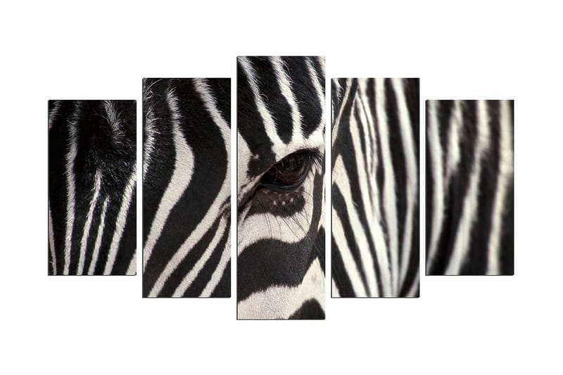 Dekorativ MDF-målning 5 Delar, Flerfärgad