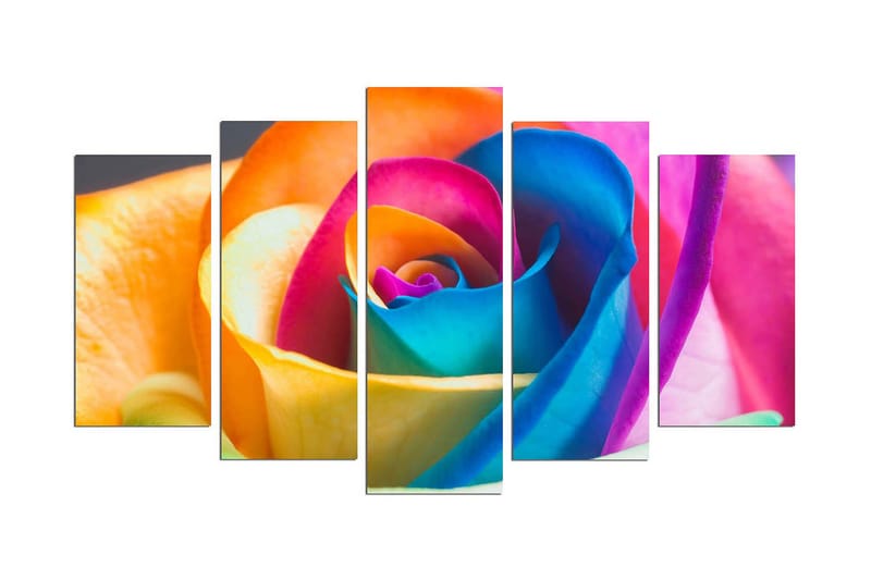 Dekorativ MDF-målning 5 Delar, Flerfärgad