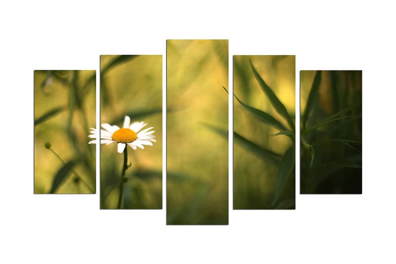 Dekorativ MDF-målning 5 Delar, Flerfärgad