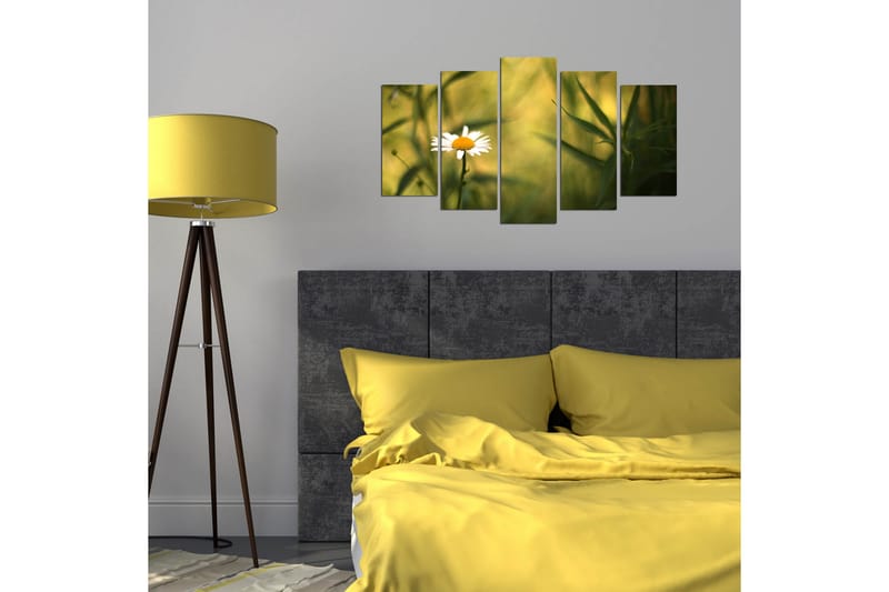 Dekorativ MDF-målning 5 Delar - Flerfärgad - Inredning - Tavlor & konst - Canvastavlor