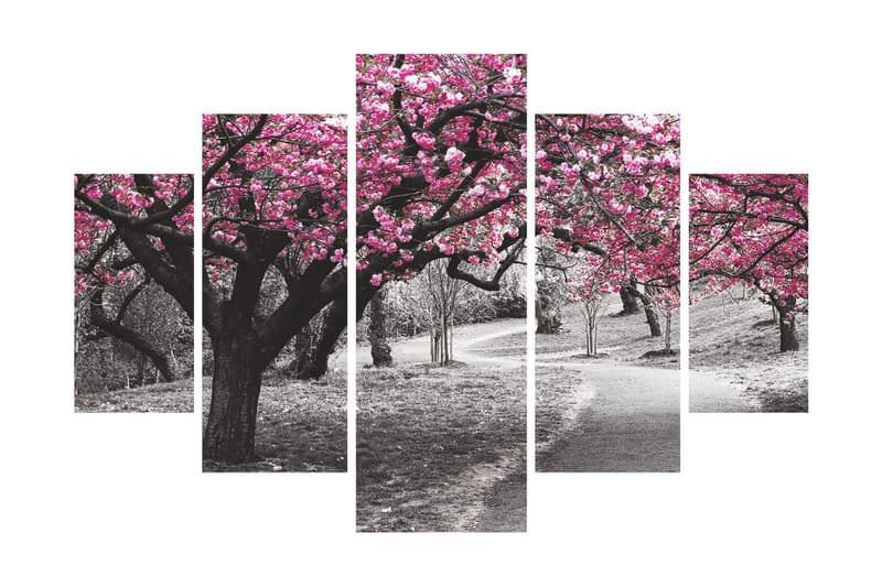 Dekorativ MDF-målning 5 Delar, Flerfärgad