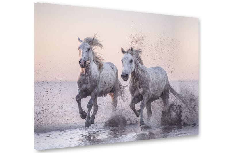 Horses Tavla 75x100 cm - Multifärgad - Canvastavlor