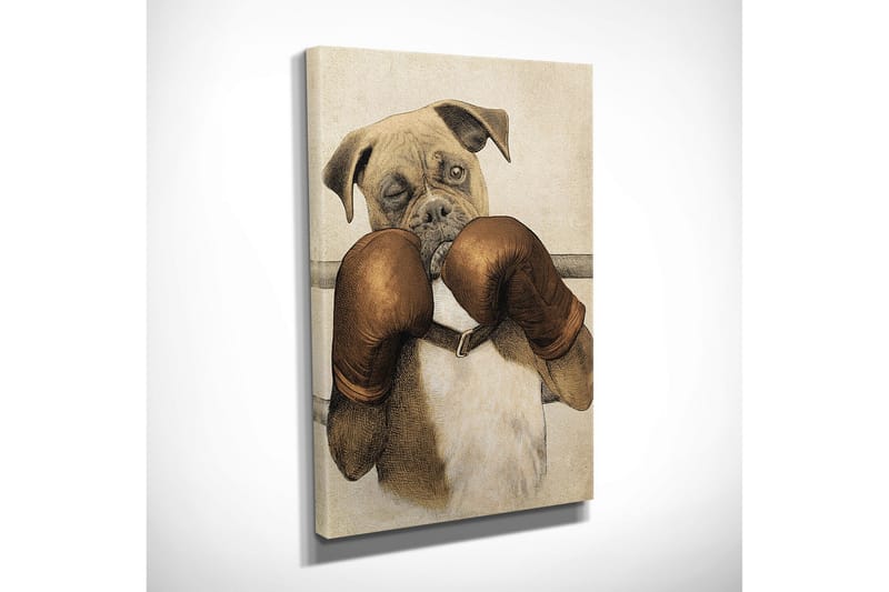 Liten Canvastavla 30x40 cm - Boxande hund med handskar - Brun / Beige / Vit - Inredning - Tavlor & konst - Canvastavlor