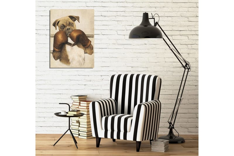 Liten Canvastavla 30x40 cm - Boxande hund med handskar - Brun / Beige / Vit - Inredning - Tavlor & konst - Canvastavlor