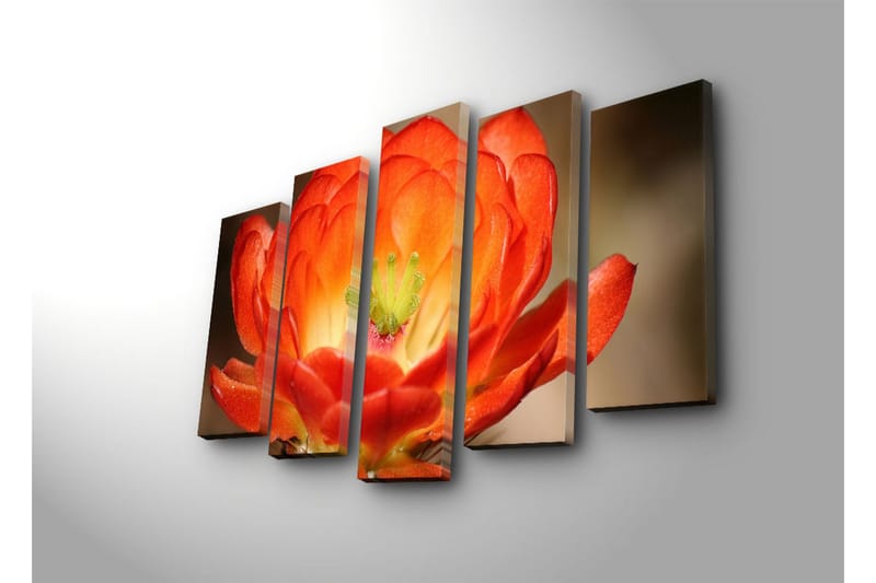 Stor Canvastavla i 5 delar 105x70 cm - Färgglad blomma med djup orangea och röda nyanser - Orange / Grön - Inredning - Tavlor & konst - Canvastavlor