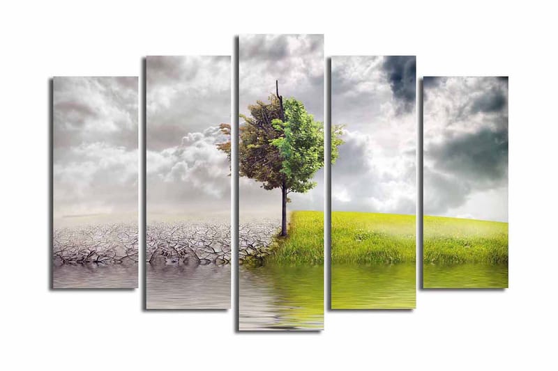 Stor Canvastavla i 5 delar 105x70 cm - Grönskande träd som står mellan torr mark och frodig äng, Grön / Grå / Beige