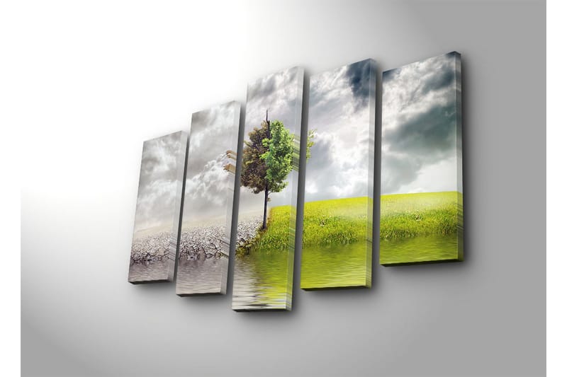 Stor Canvastavla i 5 delar 105x70 cm - Grönskande träd som står mellan torr mark och frodig äng - Grön / Grå / Beige - Inredning - Tavlor & konst - Canvastavlor