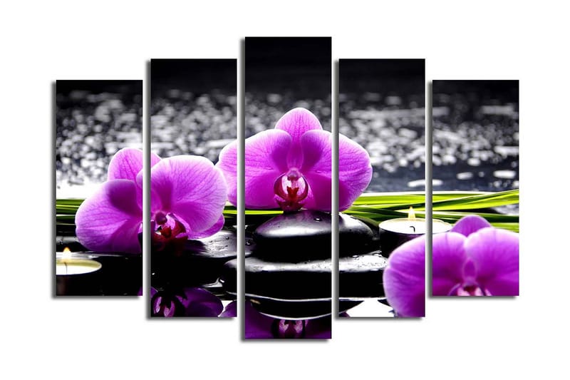 Stor Canvastavla i 5 delar 105x70 cm - Lila orkidéer på svarta stenar med reflektioner i vatten - Lila / Svart / Grön - Inredning - Tavlor & konst - Canvastavlor