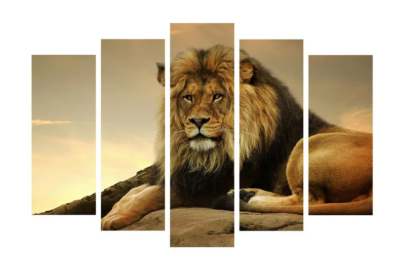 Stor Canvastavla i 5 delar 105x70 cm - Majestätisk lejon som vilar på en klippa, Guld / Brun / Beige