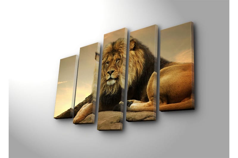 Stor Canvastavla i 5 delar 105x70 cm - Majestätisk lejon som vilar på en klippa - Guld / Brun / Beige - Inredning - Tavlor & konst - Canvastavlor
