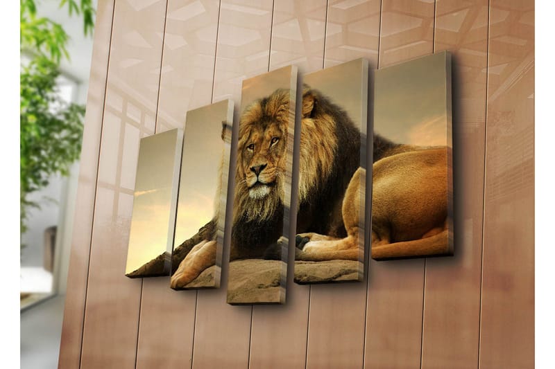 Stor Canvastavla i 5 delar 105x70 cm - Majestätisk lejon som vilar på en klippa - Guld / Brun / Beige - Inredning - Tavlor & konst - Canvastavlor