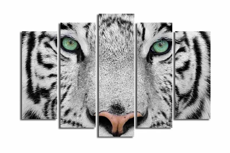 Stor Canvastavla i 5 delar 105x70 cm - Närbild av en vit tiger med intensiva ögon - Vit / Svart / Grön - Inredning - Tavlor & konst - Canvastavlor