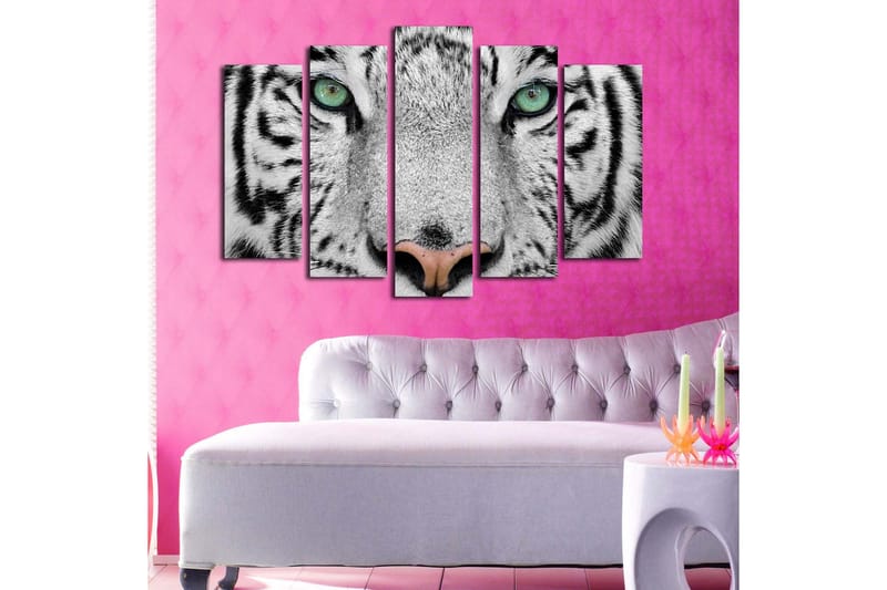 Stor Canvastavla i 5 delar 105x70 cm - Närbild av en vit tiger med intensiva ögon - Vit / Svart / Grön - Inredning - Tavlor & konst - Canvastavlor