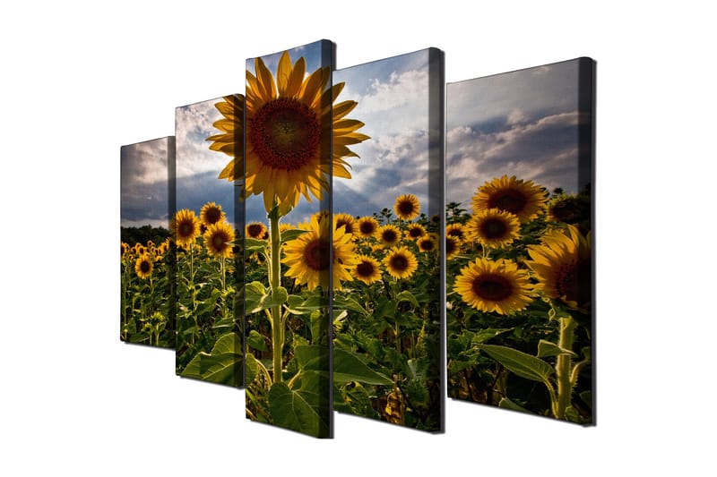 Stor Canvastavla i 5 delar 105x70 cm - Soliga solrosor i en blomstrande fält - Gul / Grön / Brun - Inredning - Tavlor & konst - Canvastavlor