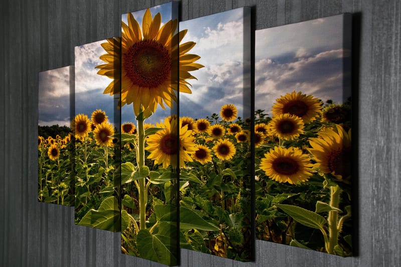 Stor Canvastavla i 5 delar 105x70 cm - Soliga solrosor i en blomstrande fält - Gul / Grön / Brun - Inredning - Tavlor & konst - Canvastavlor