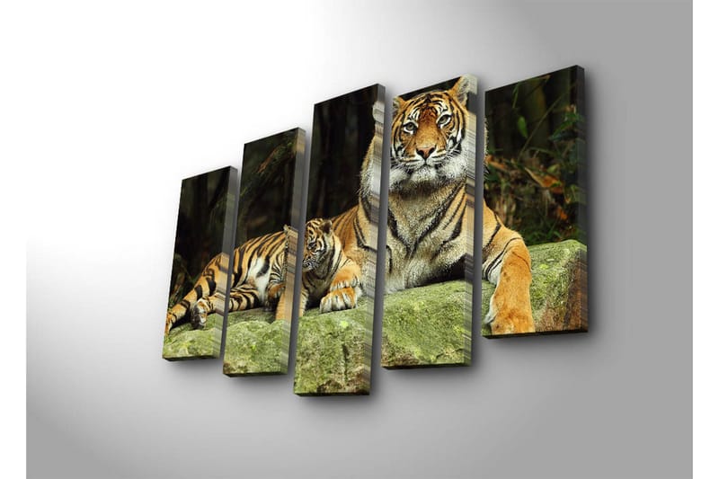 Stor Canvastavla i 5 delar 105x70 cm - Stolt tiger med unge som vilar på en sten - Orange / Svart / Beige - Inredning - Tavlor & konst - Canvastavlor