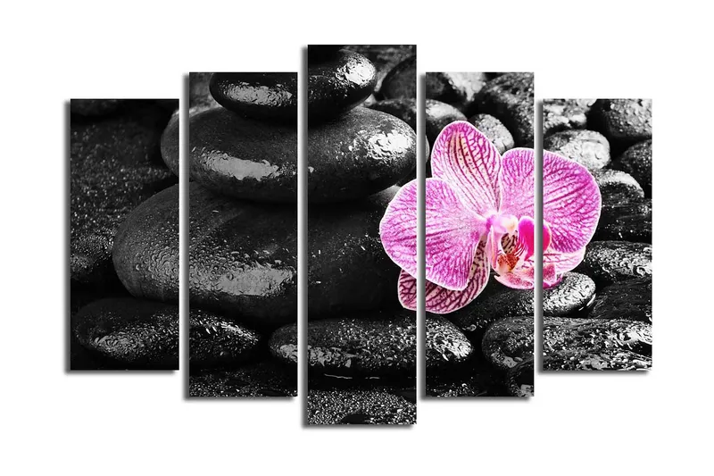 Stor Canvastavla i 5 delar 105x70 cm - Vacker orkidé som kontrasterar mot svarta stenar - Svart / Rosa - Inredning - Tavlor & konst - Canvastavlor
