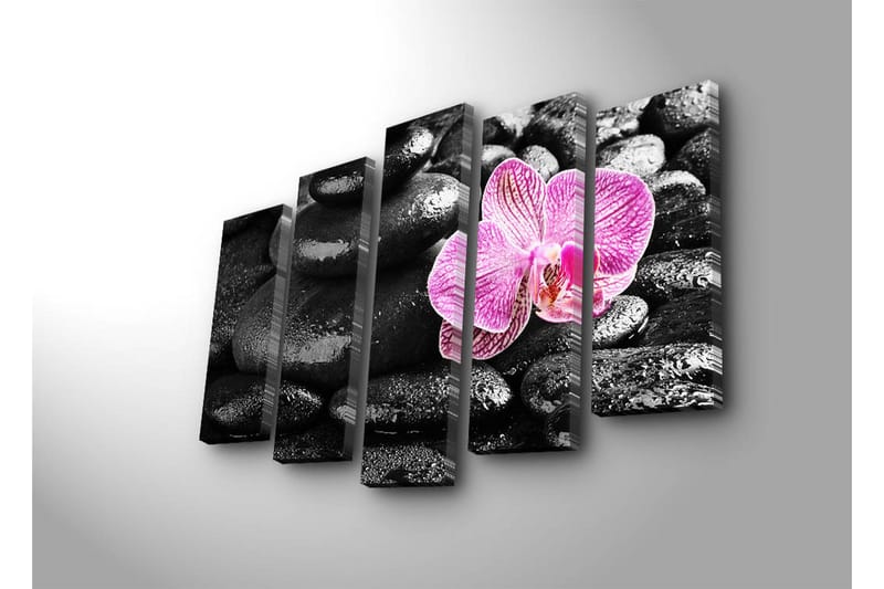 Stor Canvastavla i 5 delar 105x70 cm - Vacker orkidé som kontrasterar mot svarta stenar - Svart / Rosa - Inredning - Tavlor & konst - Canvastavlor