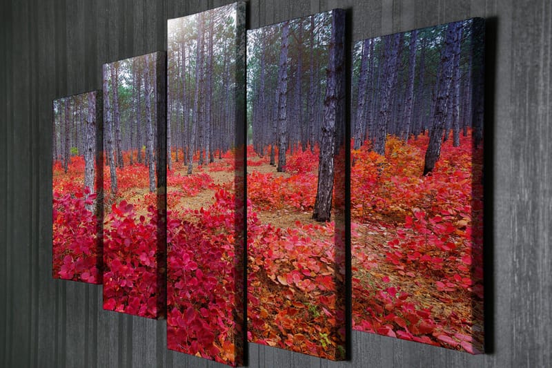 Stor Canvastavla i 5 delar 105x70 cm - Vacker skog med höstfärger och röda löv - Röd / Grön / Brun - Inredning - Tavlor & konst - Canvastavlor