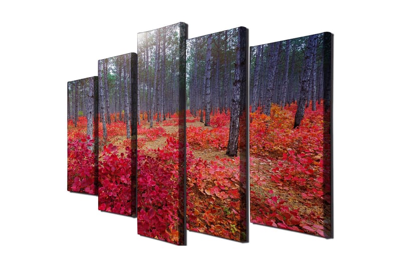Stor Canvastavla i 5 delar 105x70 cm - Vacker skog med höstfärger och röda löv - Röd / Grön / Brun - Inredning - Tavlor & konst - Canvastavlor