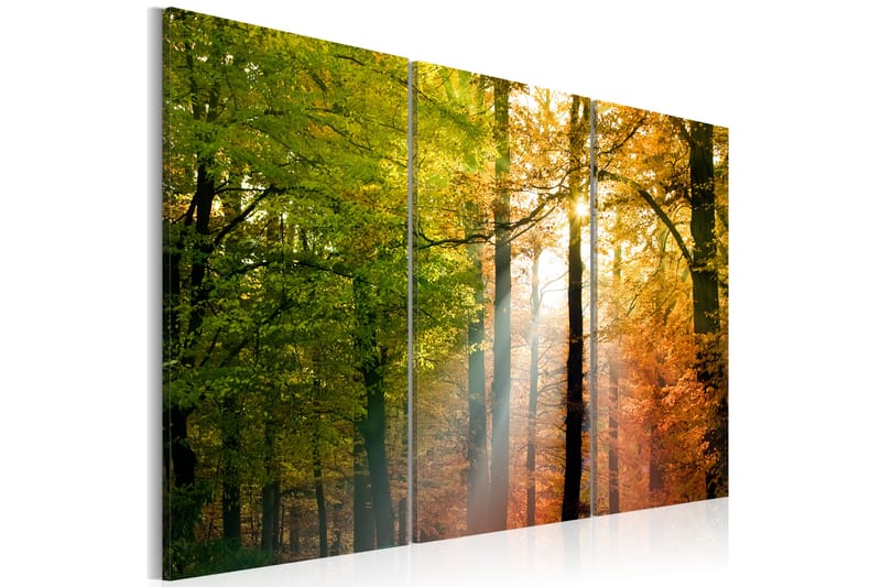 Tavla A Calm Autumn Forest 120x80 - Artgeist sp. z o. o. - Canvastavlor