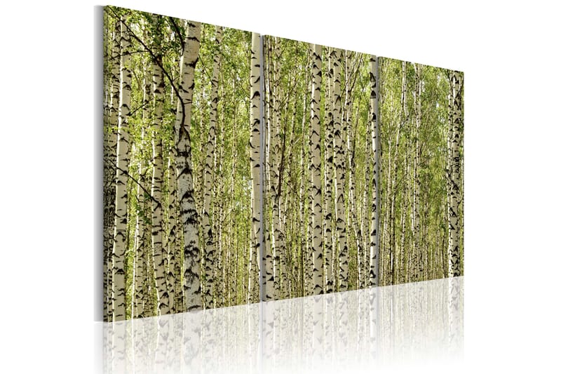 Tavla A forest of birch trees 60x40 - Artgeist sp. z o. o. - Inredning - Tavlor & konst - Canvastavlor