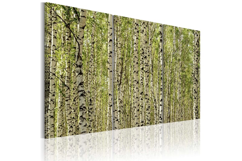 Tavla A forest of birch trees 60x40 - Artgeist sp. z o. o. - Inredning - Tavlor & konst - Canvastavlor