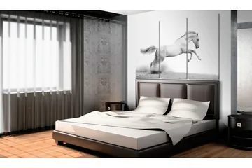 Tavla A galloping horse 90x60 - Artgeist sp. z o. o. - Inredning - Tavlor & konst - Canvastavlor