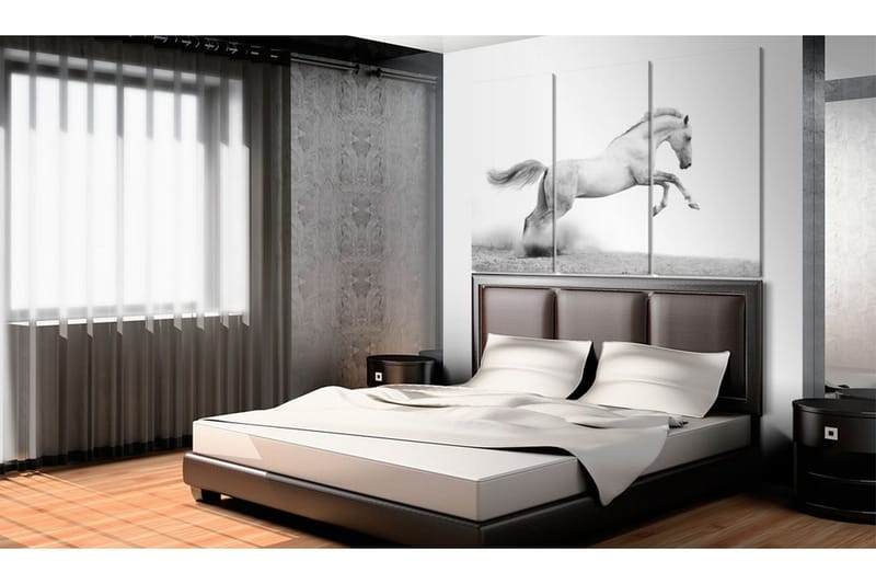 Tavla A galloping horse 90x60 - Artgeist sp. z o. o. - Inredning - Tavlor & konst - Canvastavlor