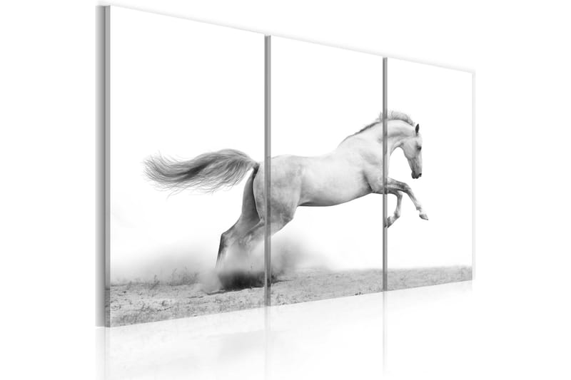 Tavla A galloping horse 90x60 - Artgeist sp. z o. o. - Inredning - Tavlor & konst - Canvastavlor