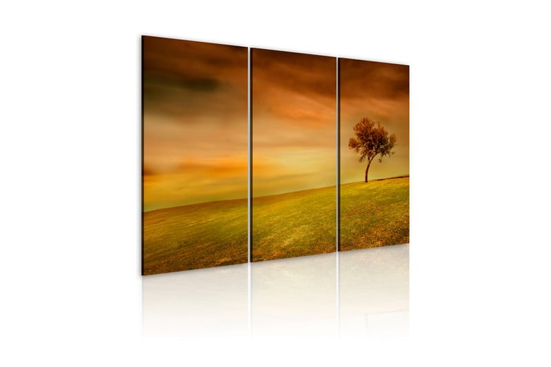 Tavla A Lonely Tree On A Meadow 60x40 - Artgeist sp. z o. o. - Inredning - Tavlor & konst - Canvastavlor