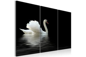 Tavla A Lonely White Swan 120x80