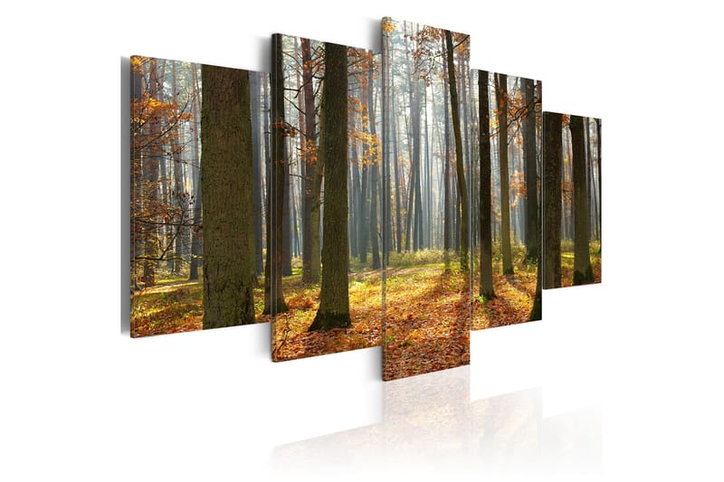 Tavla A Nice Forest Landscape 100x50, Artgeist sp. z o. o.