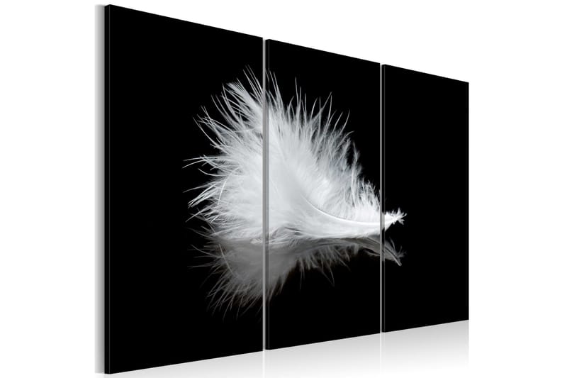 Tavla A Small Feather 120x80, Artgeist sp. z o. o.