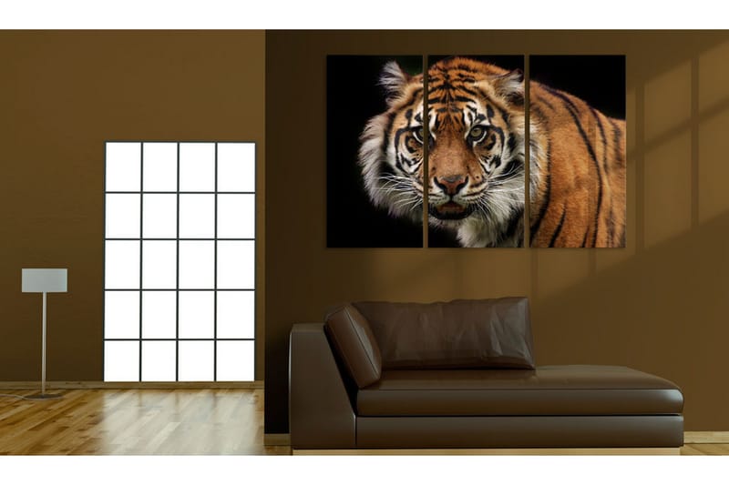 Tavla A Wild Tiger 120x80 - Artgeist sp. z o. o. - Inredning - Tavlor & konst - Canvastavlor