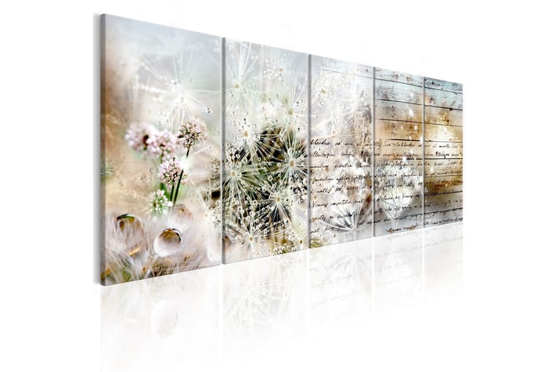 Tavla Abstract Dandelions 225x90, Artgeist sp. z o. o.