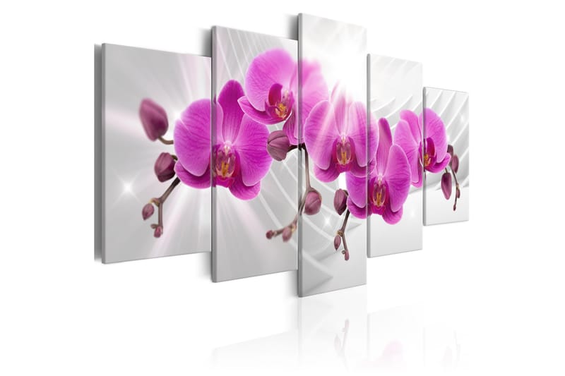 Tavla Abstract Garden Pink Orchids 200x100 - Artgeist sp. z o. o. - Canvastavlor