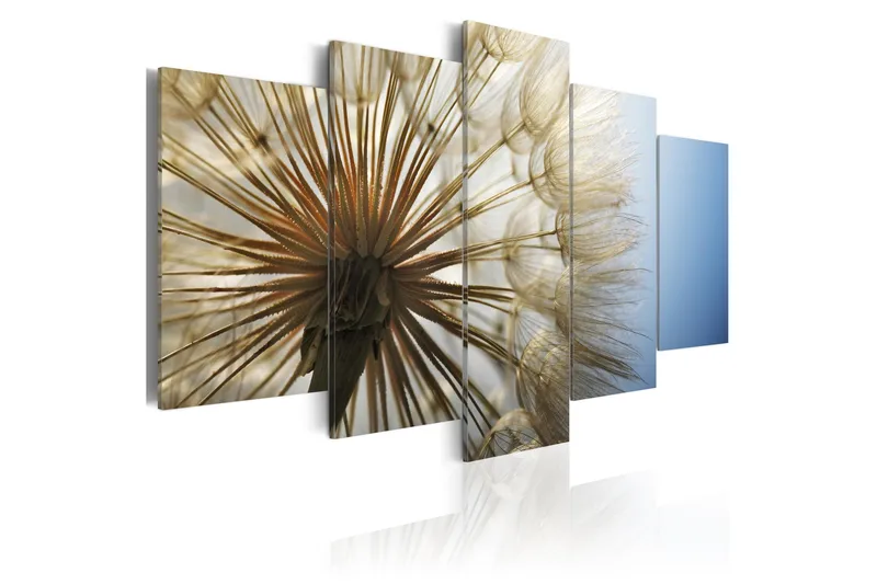 Tavla Admiration Of Gentleness 100x50 - Artgeist sp. z o. o. - Inredning - Tavlor & konst - Canvastavlor