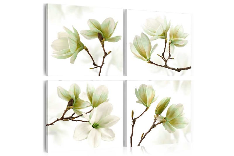 Tavla Admiration Of Magnolia 80x80 - Artgeist sp. z o. o. - Canvastavlor