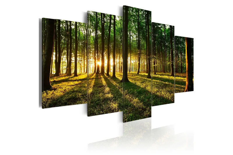 Tavla Adventure In The Woods 200x100, Artgeist sp. z o. o.