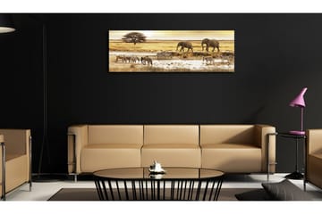 Tavla Africa At The Waterhole 120x40 - Artgeist sp. z o. o. - Inredning - Tavlor & konst - Canvastavlor